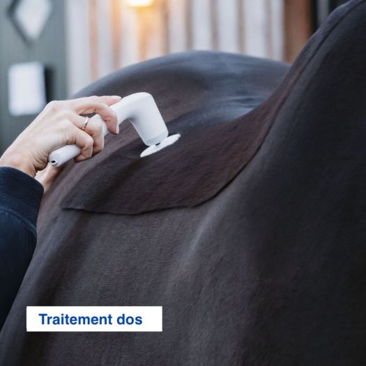NOVAFON ® VETERINAIRE PACK CHEVAL + 1 TÉTE MAGNETIQUE + 1 REHAB SET  [JFB-230-1793 + JFB-230-1794 + JFB-230-0110 + JFB-230-1616 + JFB-230-1612]