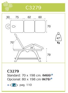 TABLE DE MASSAGE FIXE EN BOIS C3279M66 ECOPOSTURAL