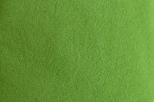 Vert Anis