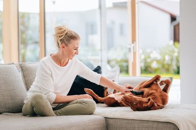 Amis à quatre pattes pour une meilleure santé mentale